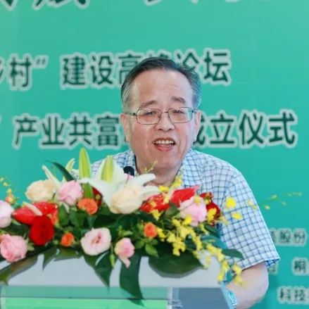 2022“未来墟落”建设岑岭论坛暨之江“未来墟落”工业共富同盟建设仪式乐成举行-新闻动态|健培科技