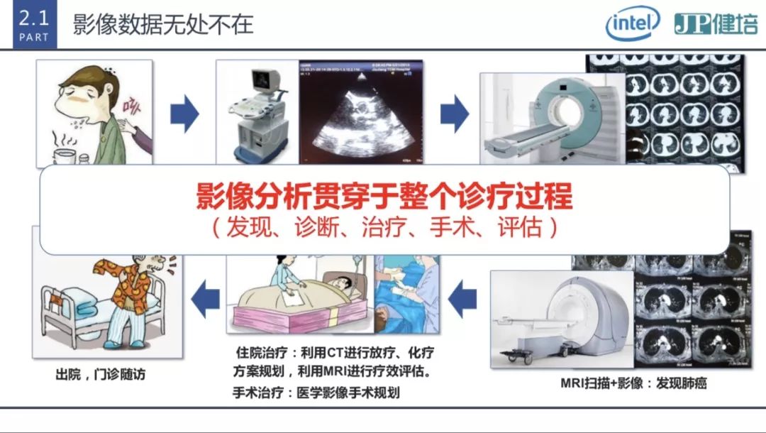 “大象”起舞的神秘-新闻动态|健培科技