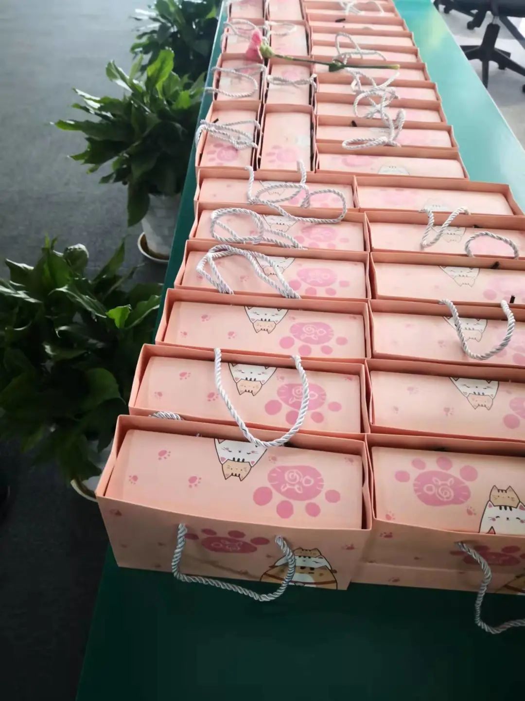 风范感人，，，，，女神节快乐！-新闻动态|健培科技