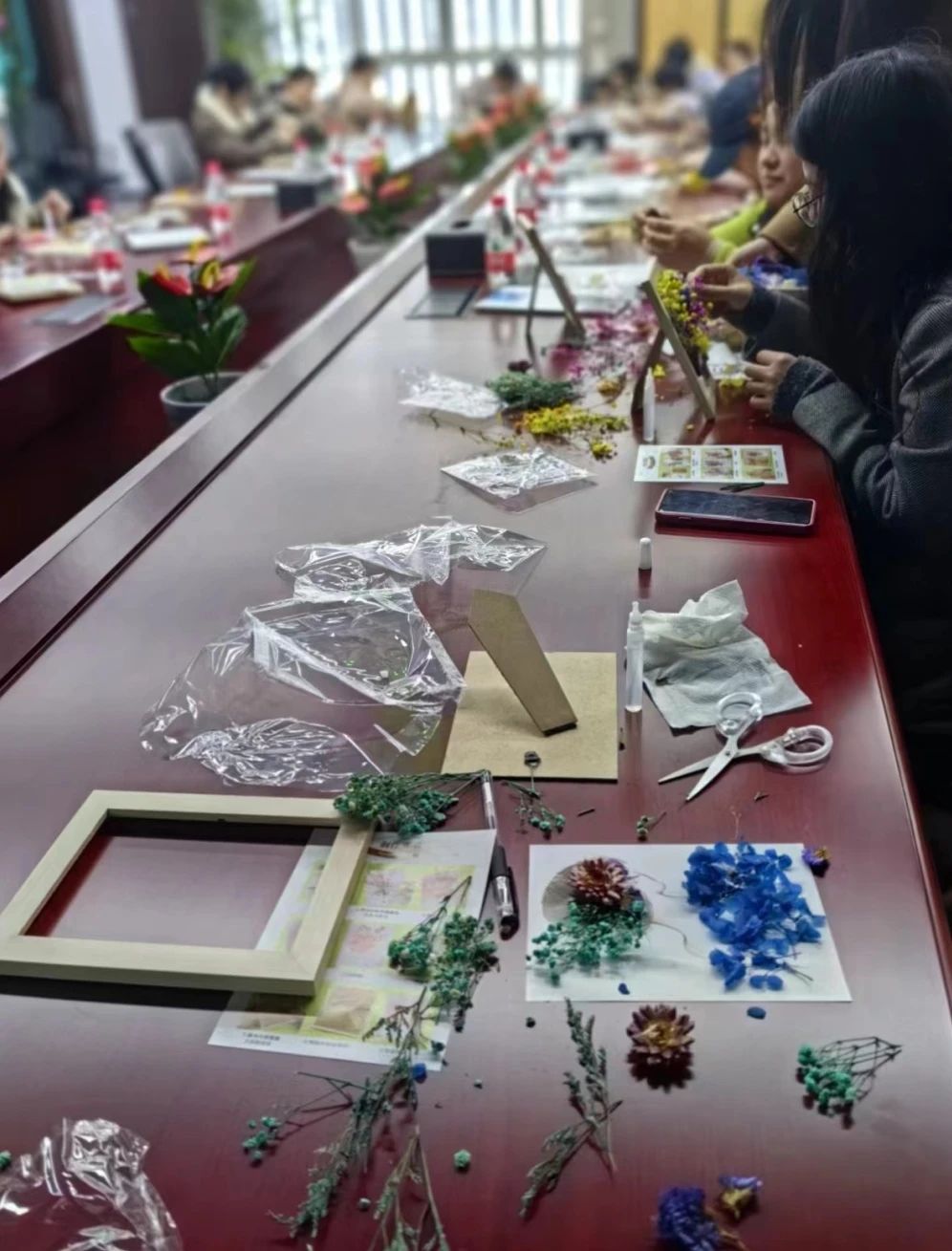 逐梦花影，，，，绽放色泽，，，，女神节快乐！-新闻动态|健培科技