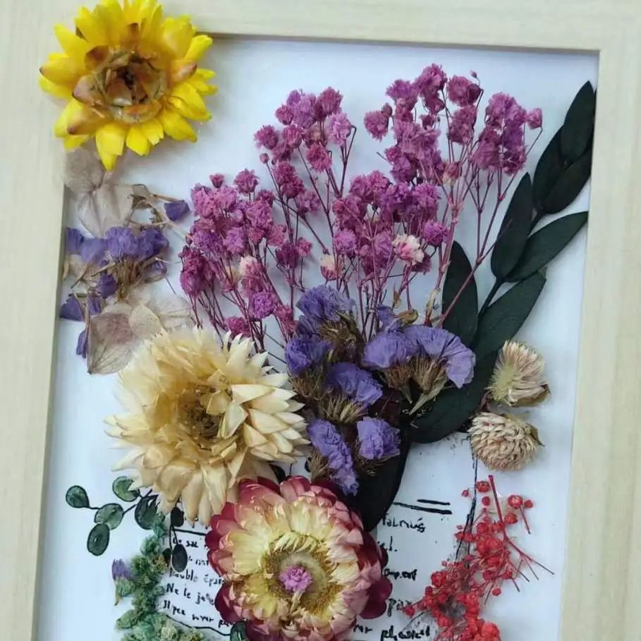 逐梦花影，，，，绽放色泽，，，，女神节快乐！-新闻动态|健培科技