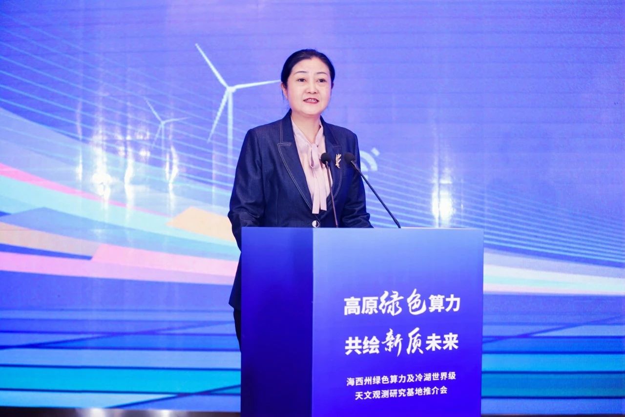 青海省海西州绿色算力基地推介会在杭州举行-新闻动态|健培科技
