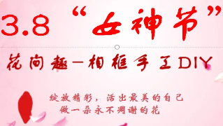 逐梦花影，，，，，，绽放色泽，，，，，，女神节快乐！