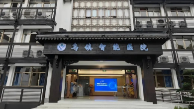 医疗AI科技怎样助力公立医院刷新与高质量生长？？？